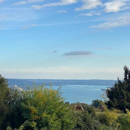 La Garçonniérre del Lago Maggiore Nebbiuno Extérieur photo
