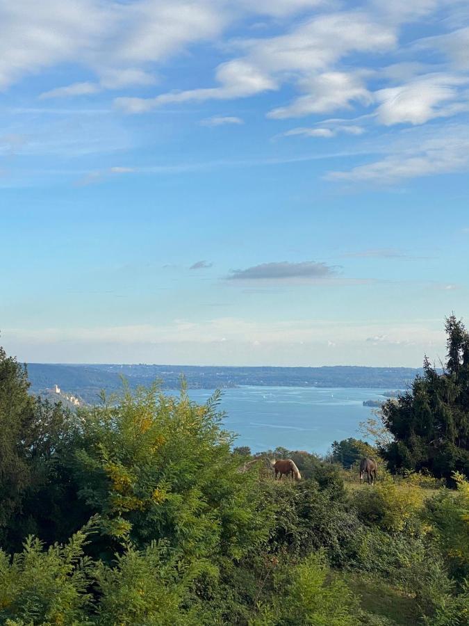 La Garçonniérre del Lago Maggiore Nebbiuno Extérieur photo
